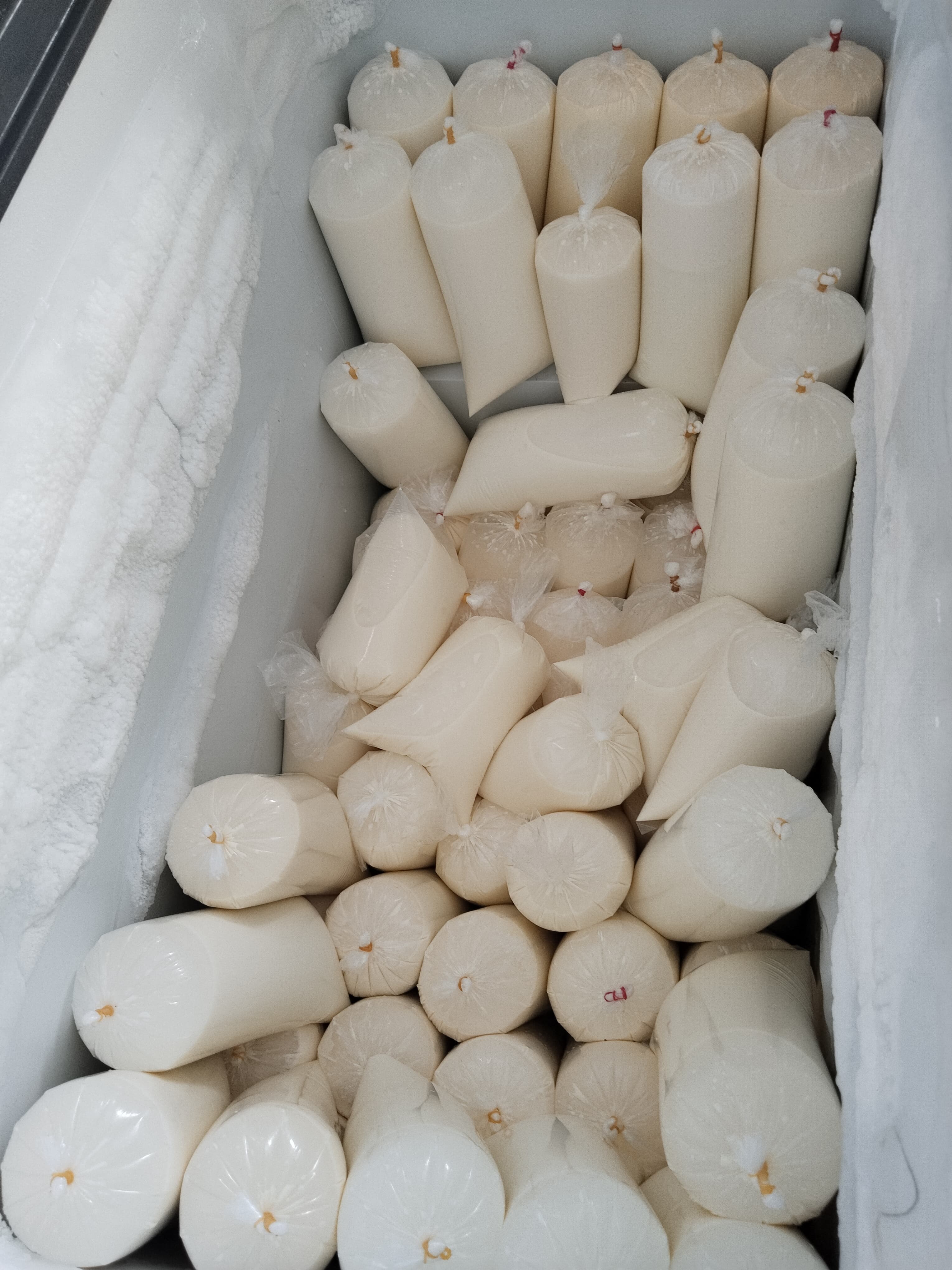 Susu Sapi