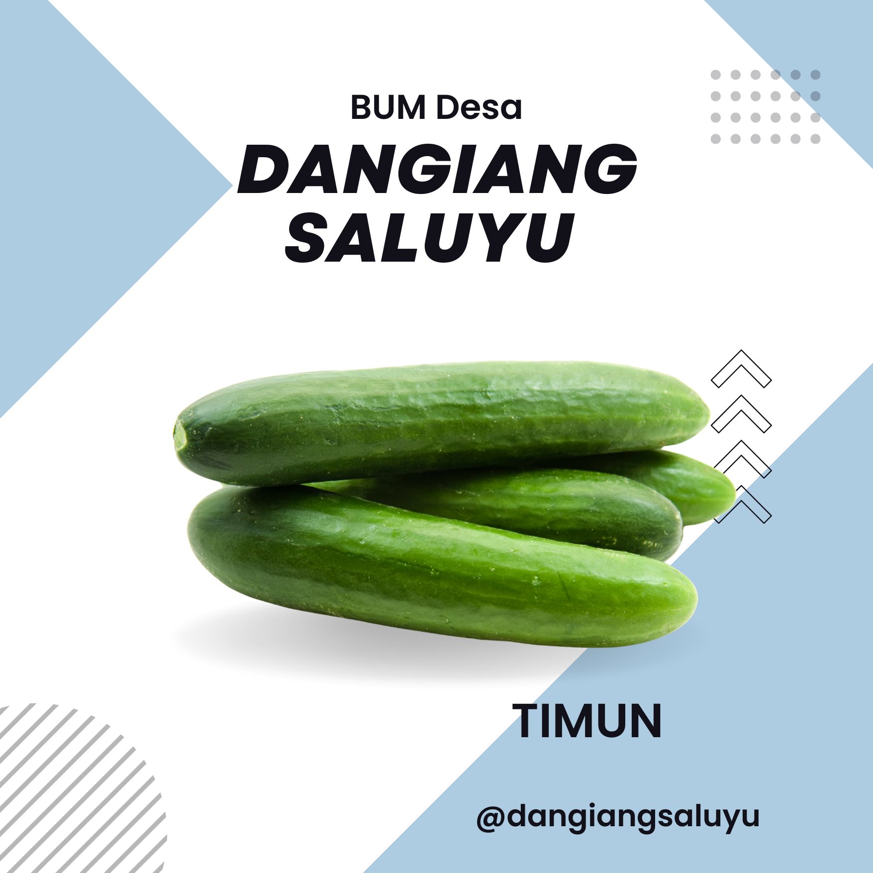 TIMUN SEGAR BABY