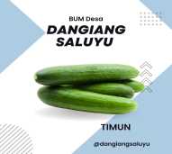 TIMUN SEGAR BABY